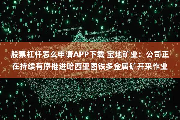 股票杠杆怎么申请APP下载 宝地矿业：公司正在持续有序推进哈西亚图铁多金属矿开采作业